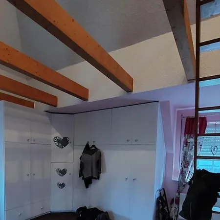 5-kamer Met Eigen Lift In Appartement Amsterdam